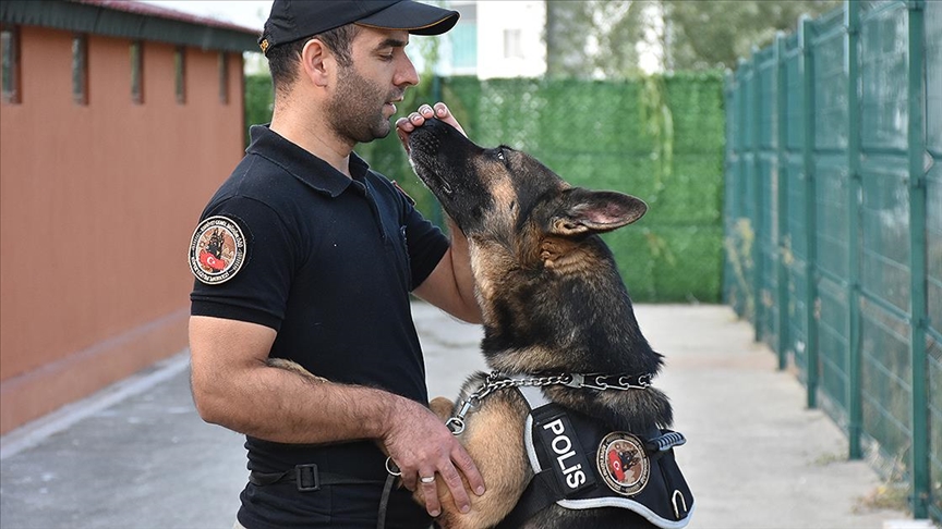 Polisin iz takipte 'hassas burunlu' yardmcs