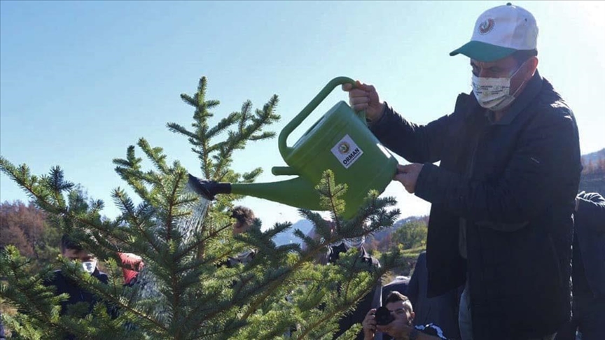 Isparta ve Burdur'daki orman yangnlarndan etkilenen alanlarda fidanlar toprakla bulutu