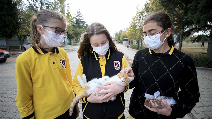 renciler harlklaryla aldklar mamalarla sokak hayvanlarn besliyor