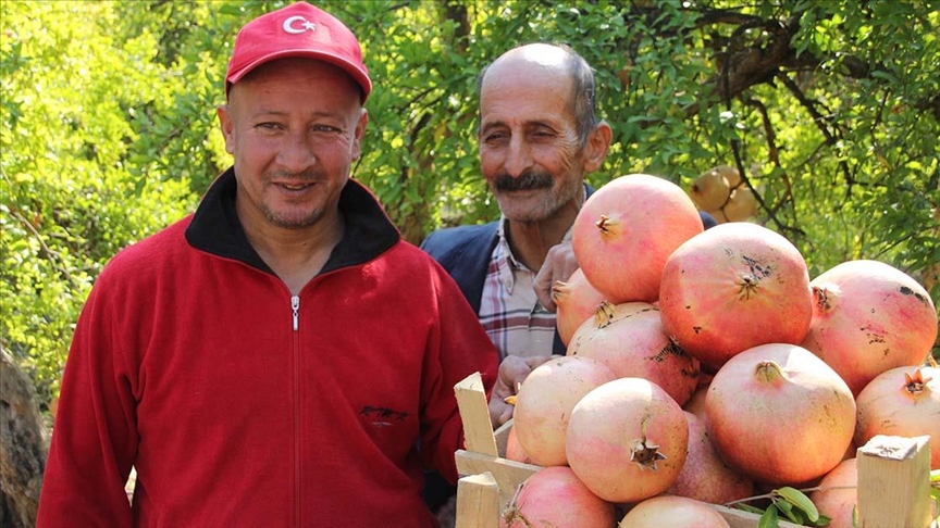 Mersin'de Keben nar hasad balad