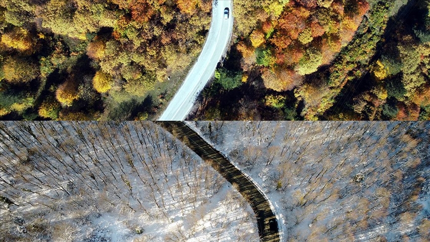 Bolu'daki ormanlarda iki mevsim tek karede birleti