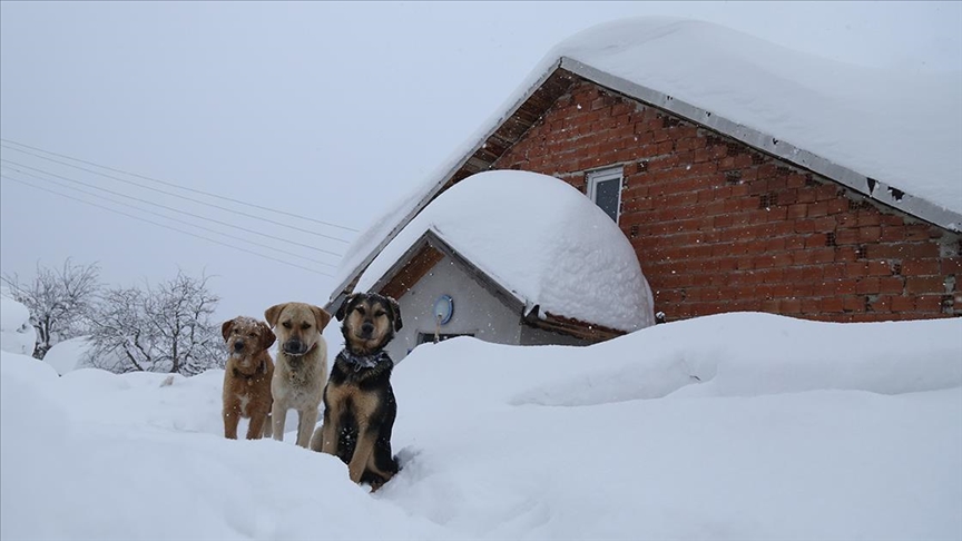 Kars ve Erzincan da Kar Nedeniyle 69 Ky Yolunda Ulam Salanamyor