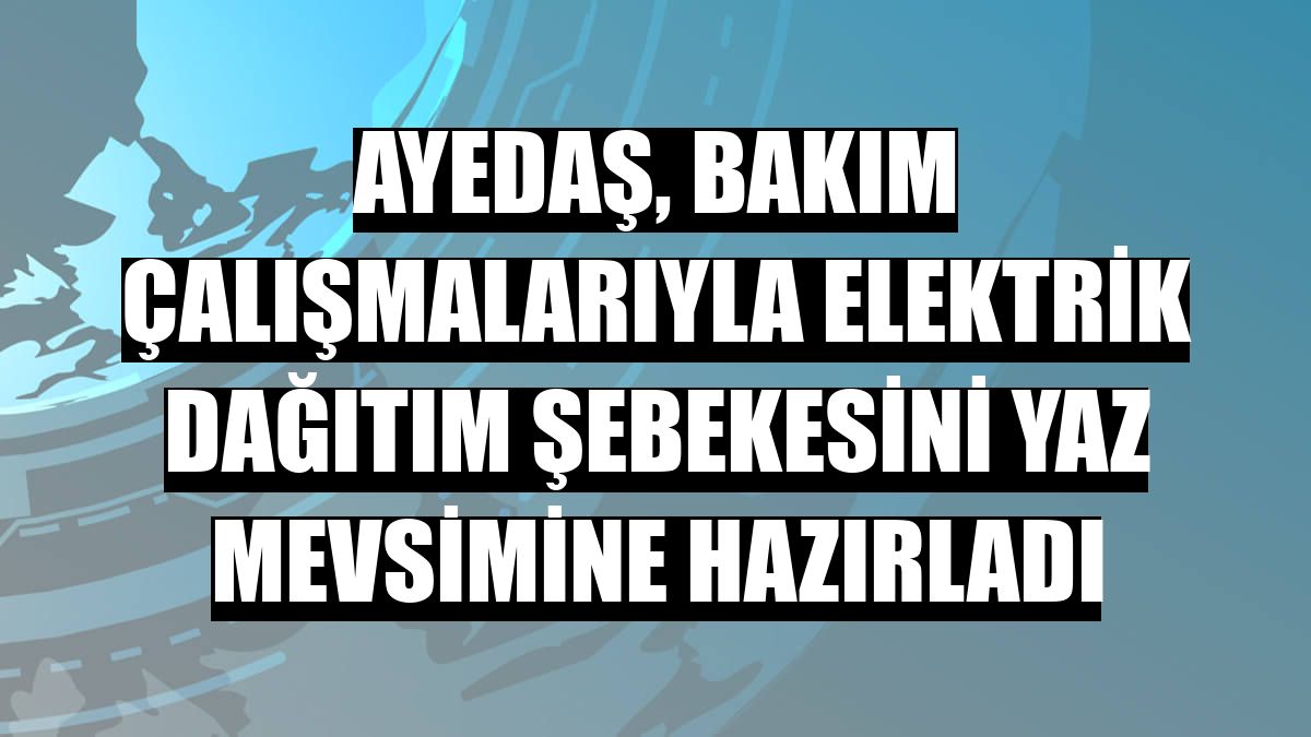 AYEDA, bakm almalaryla elektrik datm ebekesini yaz mevsimine hazrlad