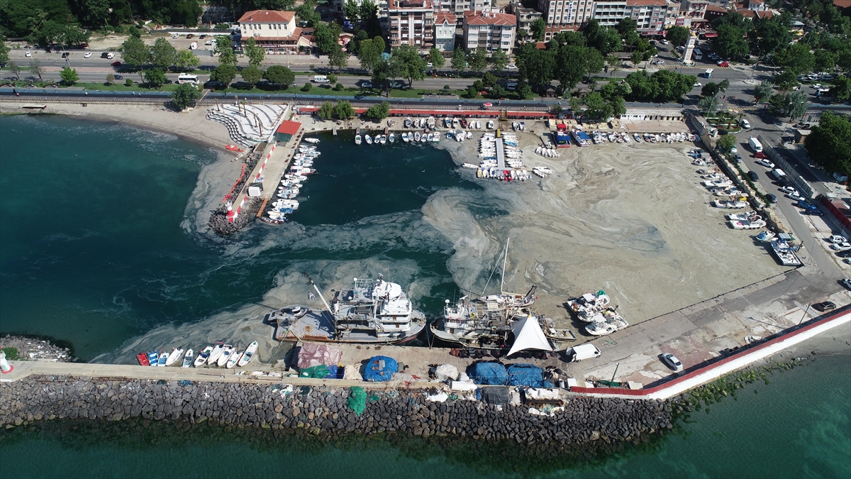 Tekirda'da lodos nedeniyle kylara msilaj geri geldi