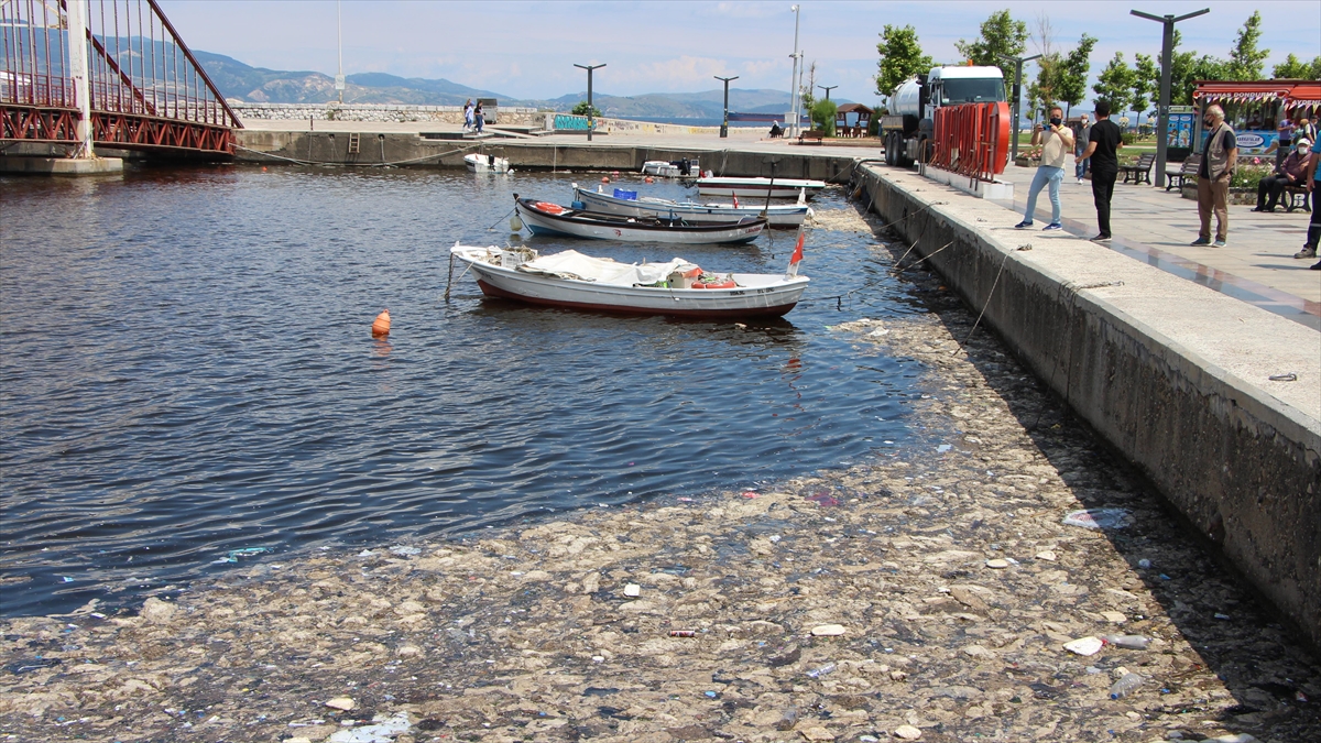 Balkesir'de msilaj temizlii devam ediyor