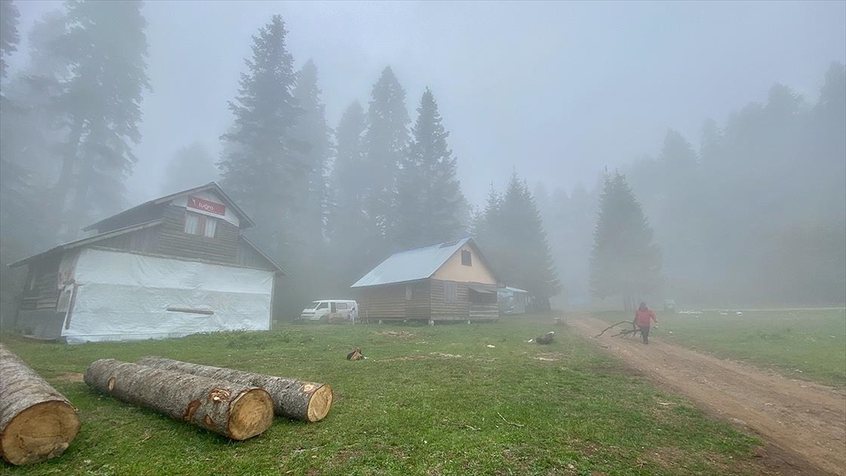 Bat Karadeniz yaylalar kademeli normalleme sreciyle enlendi