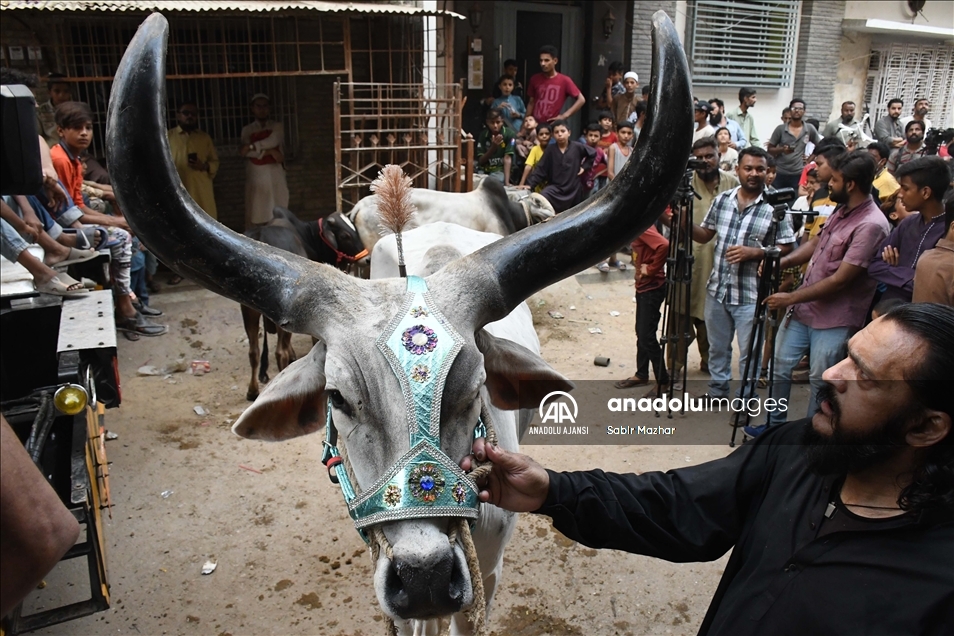 Pakistan'da Kurban Bayram hazrl