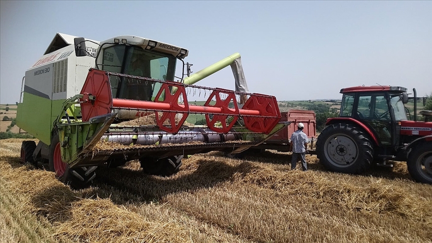 Trkiye'nin nemli hububat merkezlerinden Edirne'de buday hasad sona erdi