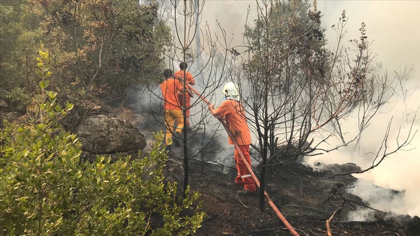 Alanya'da kan orman yangnna havadan ve karadan mdahale ediliyor