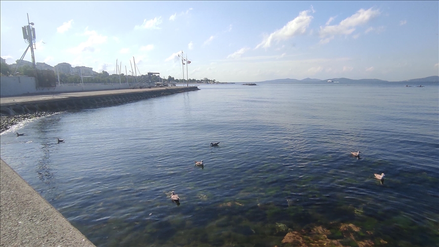  stanbul kylarnda msilaj etkisini kaybetti