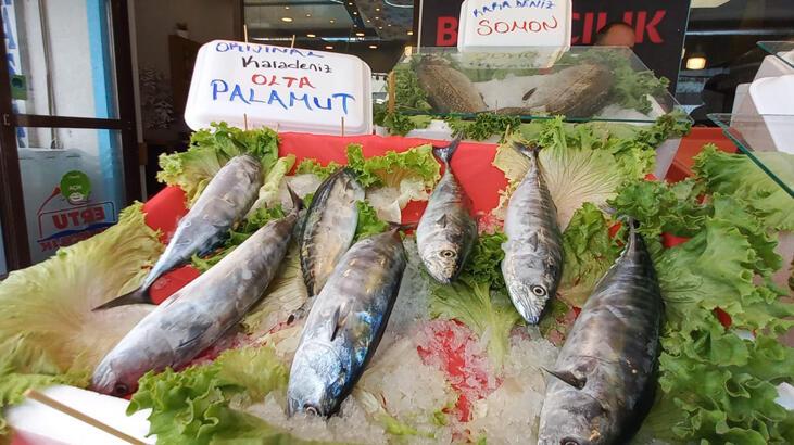 Sezonun ilk palamutlar tezgahlardaki yerini ald