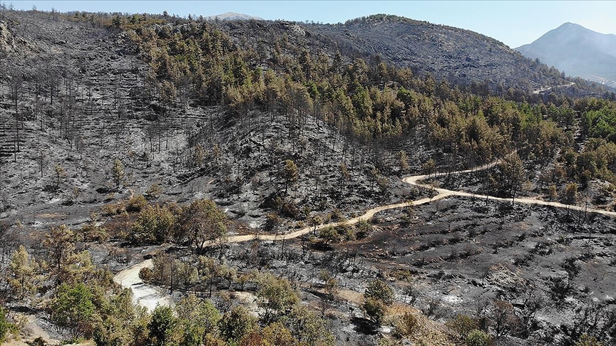 Antalya'daki yangn ile Kastamonu ve Sinop'taki sel blgesi iin acele kamulatrma karar