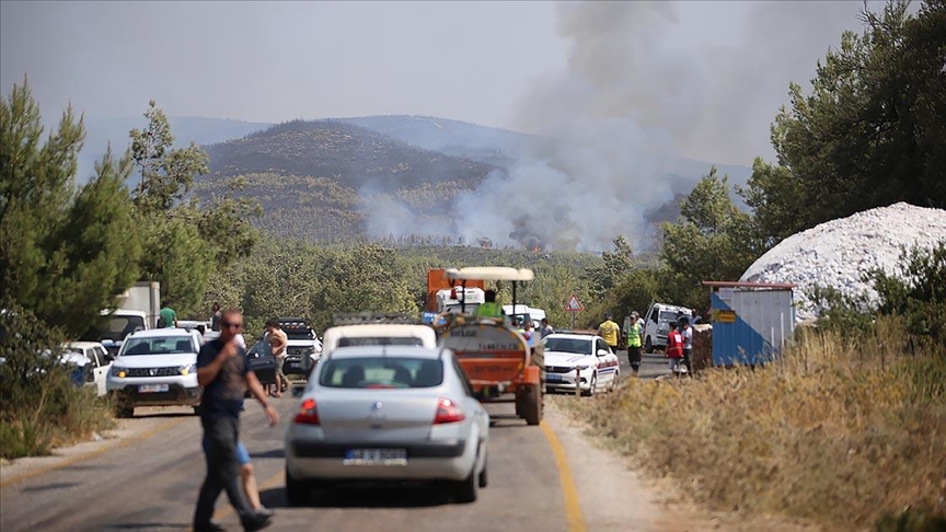 Bodrum'daki orman yangnn sndrmek iin herkes seferber oldu