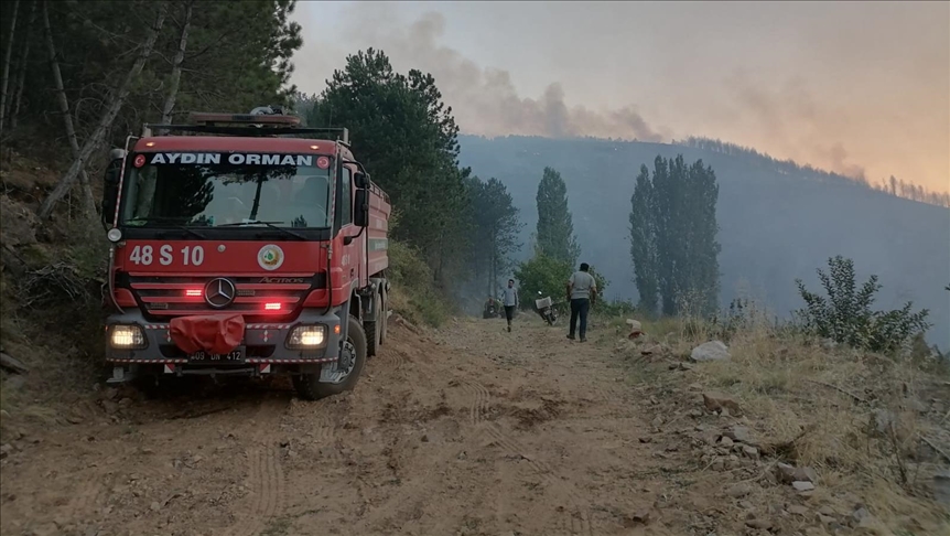 Aydn'n Karacasu ilesindeki orman yangnna mdahale sryor