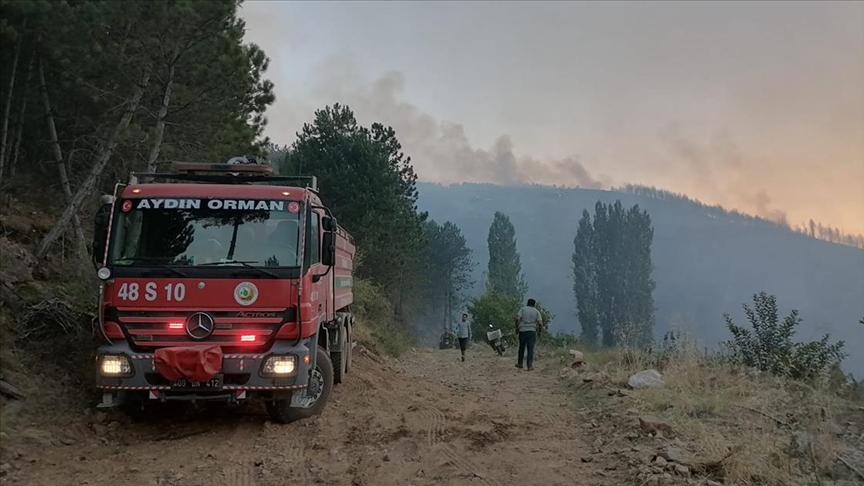 Aydn'daki orman yangn nedeniyle bir mahalle ksmen tahliye edildi