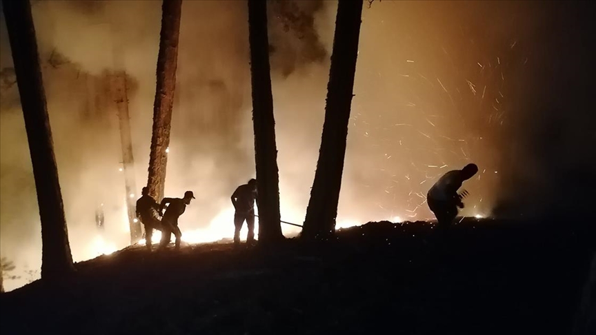 Aydn'daki orman yangnna mdahale devam ediyor