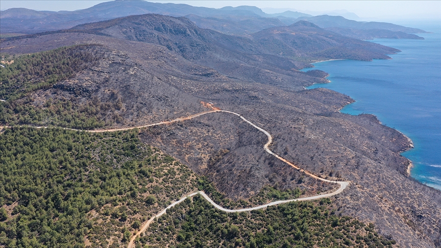 Bodrum ve Milas'ta yanan ormanlk alanlar havadan grntlendi