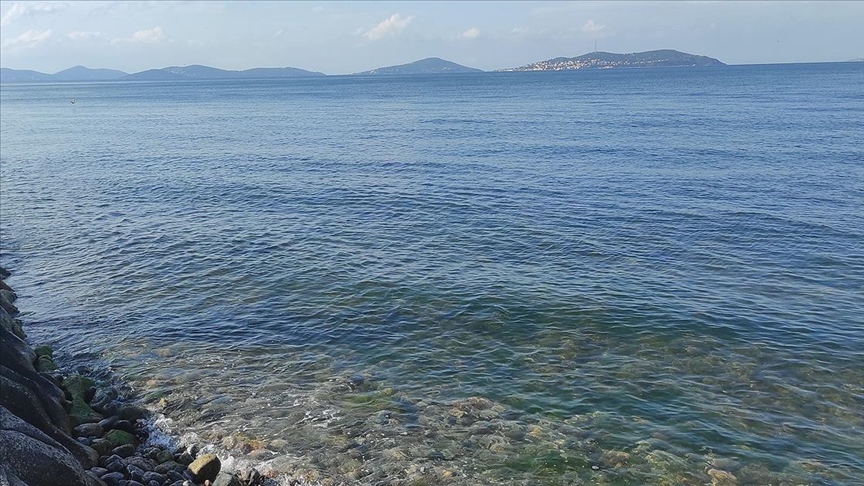 Marmara Denizi'nde yeni tehlike 'oksijen azl'