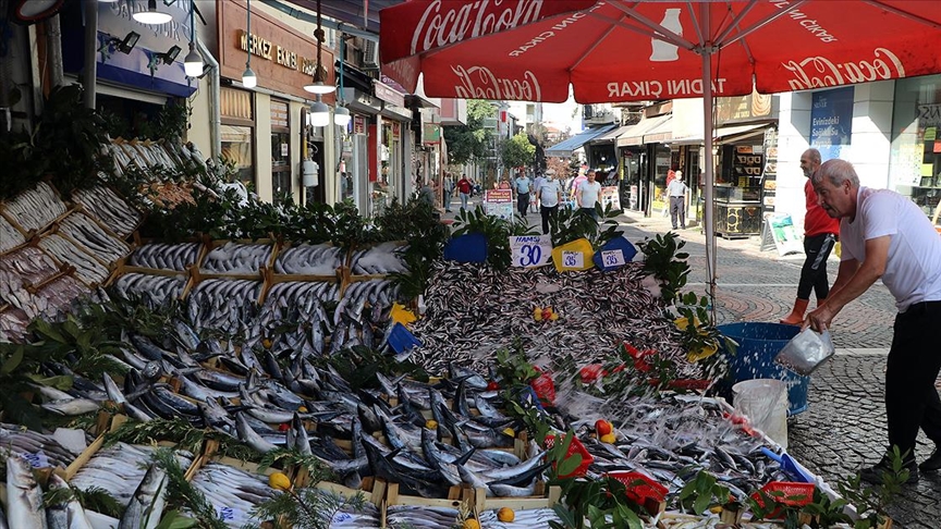 Hamsi ve istavrit bolluu balk tezgahlarn enlendiriyor